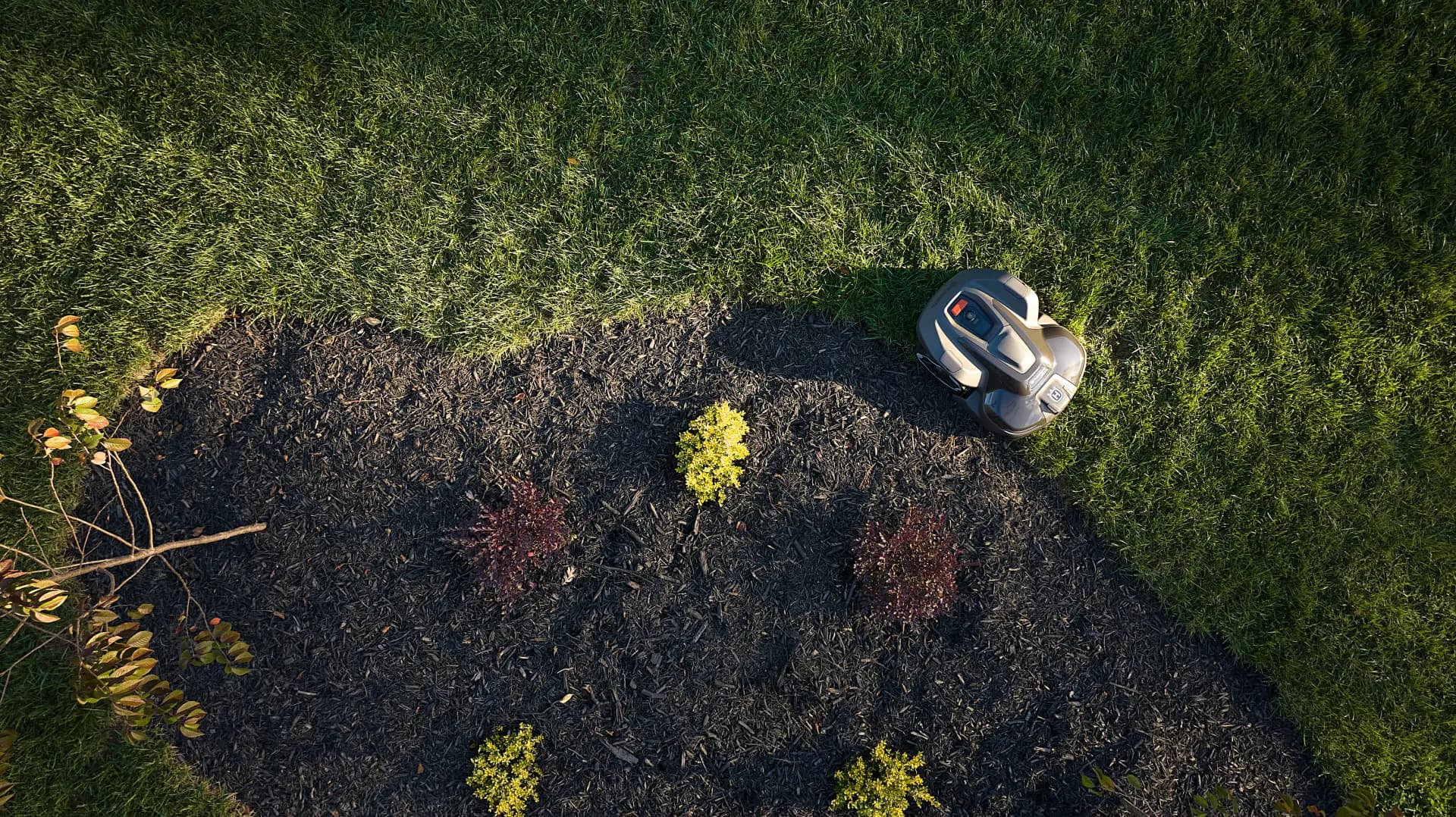 Mähroboter an der Kante eines Gartenbeets, von oben gesehen