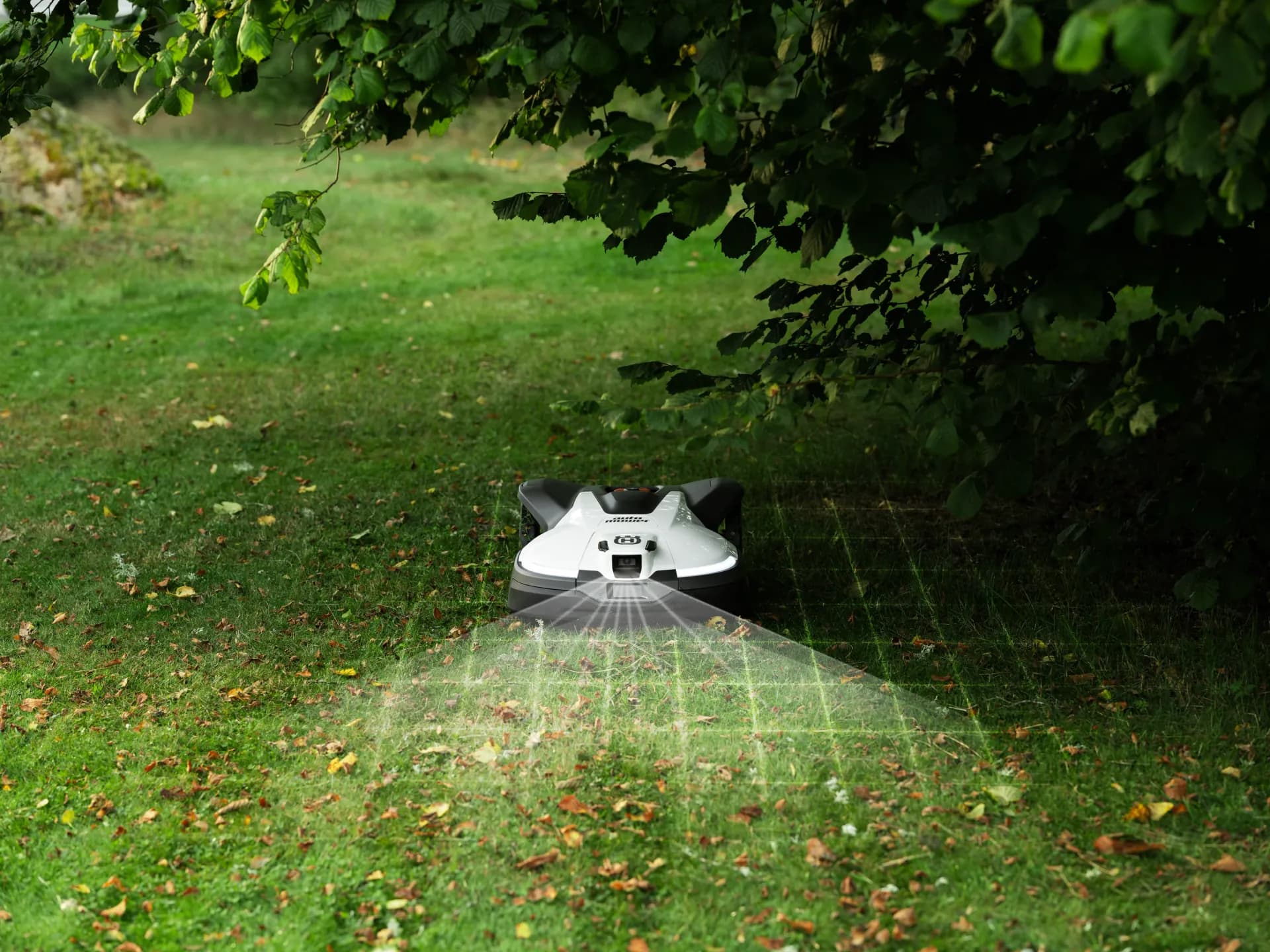 Husqvarna Automower® unter einem Baum auf herbstlichem Rasen